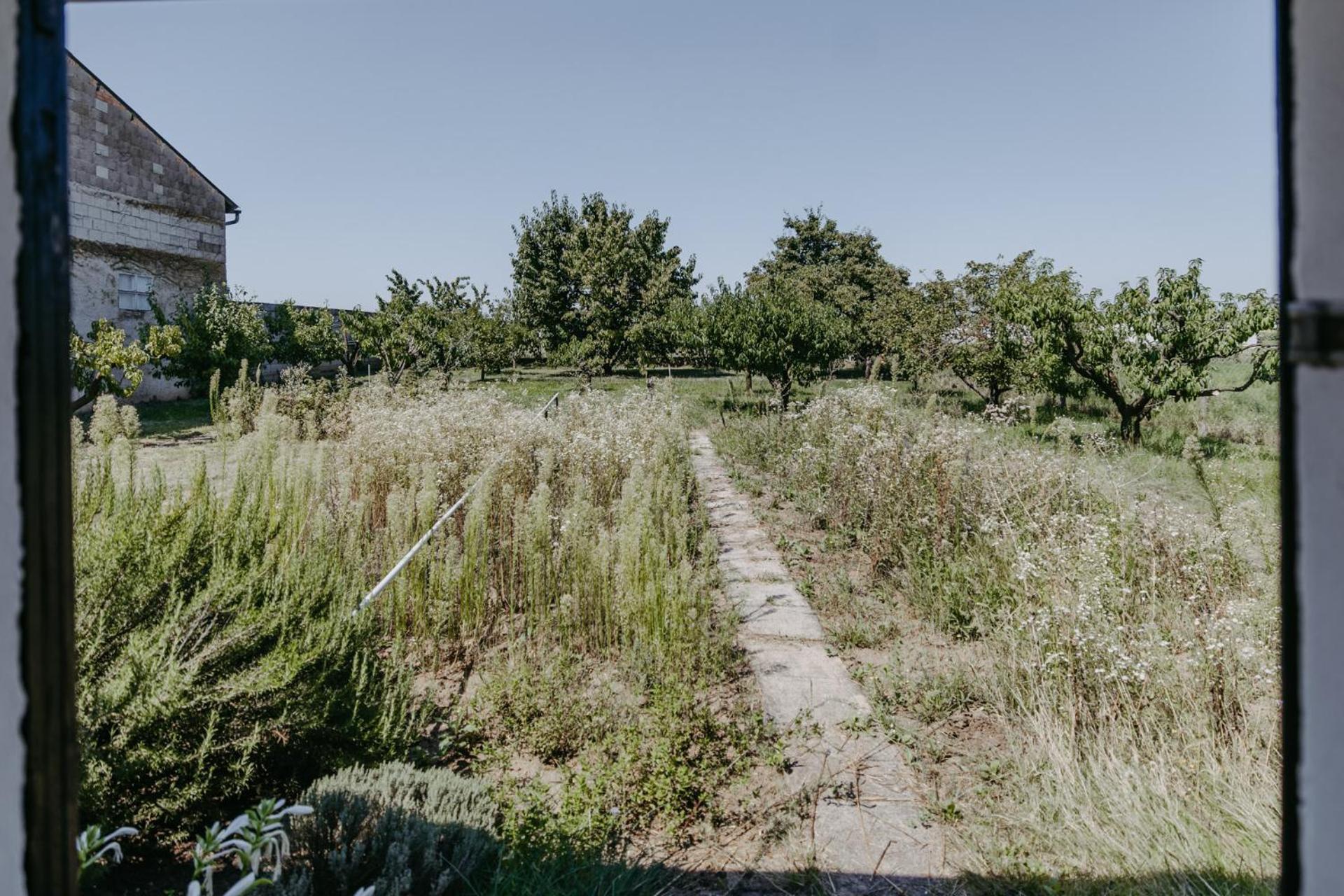 Ferienhaus Wallern Im Burgenland Esterno foto
